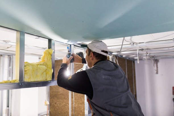 Best Spray Foam Insulation  in Lilburn, GA