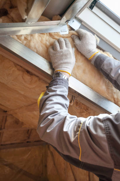 Best Insulation Replacement Services  in Lilburn, GA